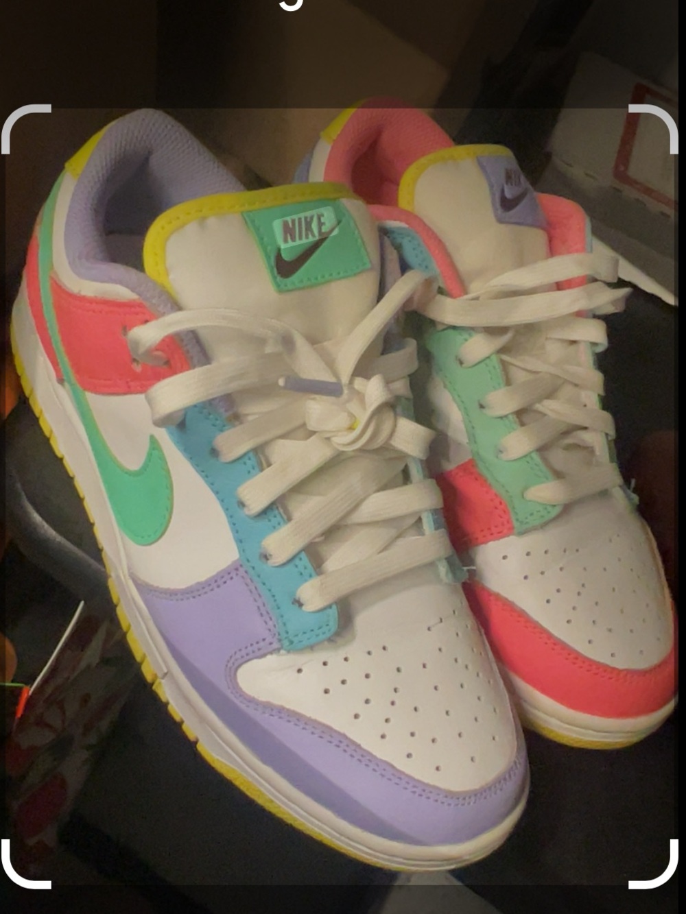 Nike SE Dunks